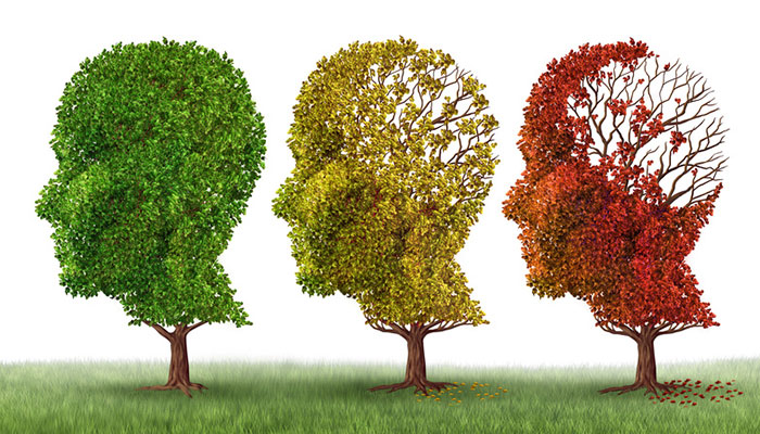 treeslosingmemoryleaves_fotolia_80738791-700x400